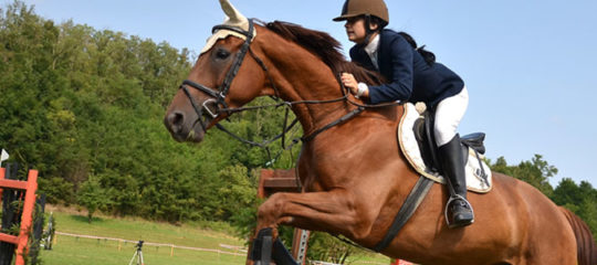 Faire de l'équitation